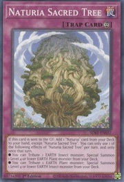 Naturia Sacred Tree⁣ - Structure Deck: Beware of Traptrix⁣ (Common)⁣ [037] - El Duelista