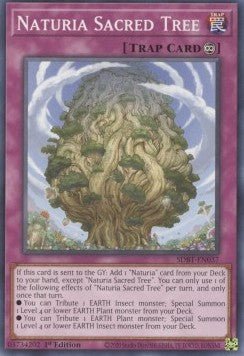 Naturia Sacred Tree⁣ - Structure Deck: Beware of Traptrix⁣ (Common)⁣ [037] - El Duelista