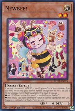 Newbee!⁣ - Rage of the Abyss⁣ (Common)⁣ [029] - El Duelista