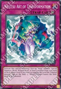 Ninjitsu Art of Transformation⁣ - Shadows in Valhalla⁣ (Super Rare)⁣ [028] - El Duelista