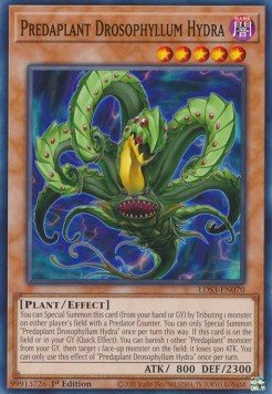 Predaplant Drosophyllum Hydra - Legendary Duelists: Season 3 (Common) [LDS3 - 070] - El Duelista