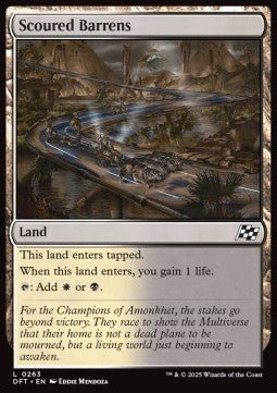 Scoured Barrens⁣ - Aetherdrift⁣ (Common)⁣ [263] - El Duelista