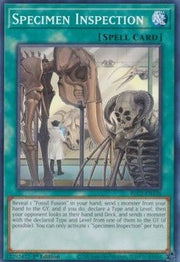 Specimen Inspection - Battles of Legend: Chapter 1 (Common) [BLC1 - 136] - El Duelista