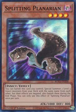 Splitting Planarian⁣ - Rage of the Abyss⁣ (Super Rare)⁣ [100] - El Duelista