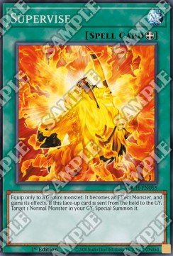 Supervise - Toon Chaos (Rare) [TOCH - 055] - El Duelista