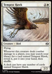 Tempest Hawk⁣ - Tarkir: Dragonstorm⁣ (Common)⁣ [31] - El Duelista