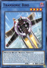 Transonic Bird - Burst of Destiny (Common) [BODE - 037] - El Duelista
