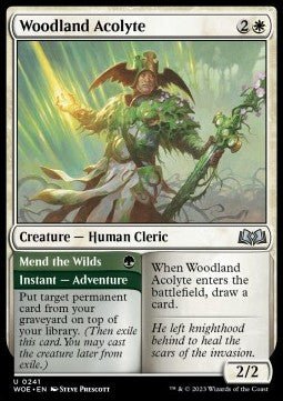 Woodland Acolyte // Mend the Wilds⁣ - Wilds of Eldraine⁣ (Uncommon)⁣ [241] - El Duelista