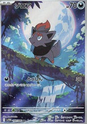 Zorua - White Flare JP (Illustration Rare) [sv11W - 140] - El Duelista